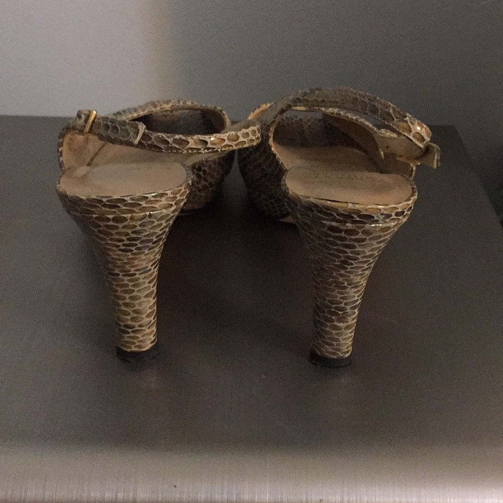 Beautiful Snake Shoes - Picture 3 of 5